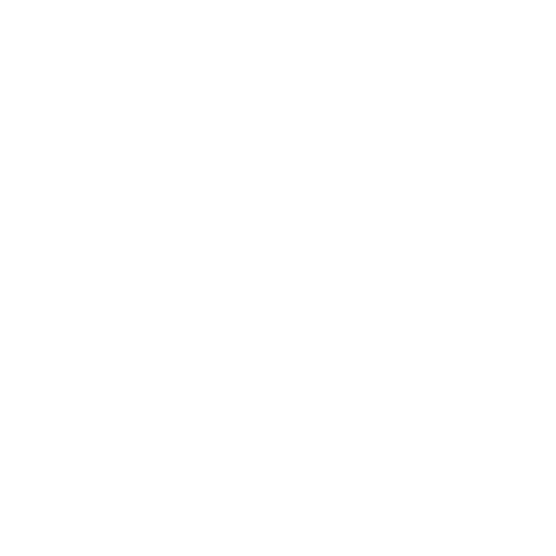 100%-calidad